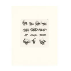 Discount Boutiques de musées Estampe Yeux humains, yeux de singes et de chameaux