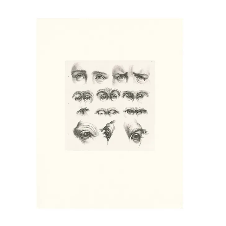 Discount Boutiques de musées Estampe Yeux humains, yeux de singes et de chameaux