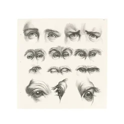 Discount Boutiques de musées Estampe Yeux humains, yeux de singes et de chameaux