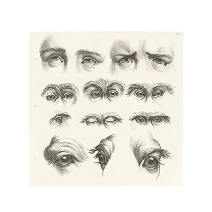 Discount Boutiques de musées Estampe Yeux humains, yeux de singes et de chameaux