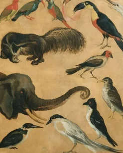 Boutiques de musées Toiles Encadrées|Toiles Sans Cadre-Etude d'animaux (toiles encadrées)