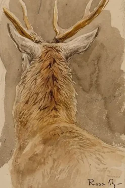 Boutiques de musées Panneaux Aluminium|Panneaux Acryliques-Etude de cerf (panneaux aluminium)