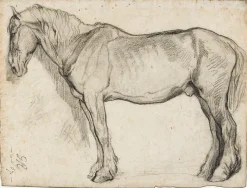 Online Boutiques de musées Etude de cheval (panneaux aluminium)