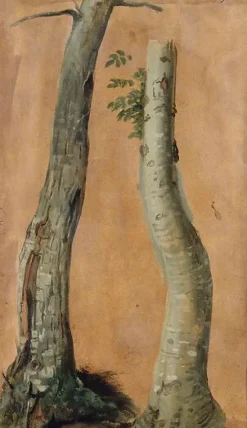 Boutiques de musées Panneaux Acryliques|Affiches D'Art Encadrées-Etude de troncs d'arbres (panneaux acryliques)