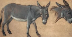 Boutiques de musées Panneaux Aluminium|Toiles Encadrées-Etude d'âne (panneaux aluminium)