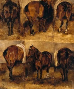Boutiques de musées Toiles Encadrées|Panneaux Acryliques-Etudes de chevaux (toiles encadrées)