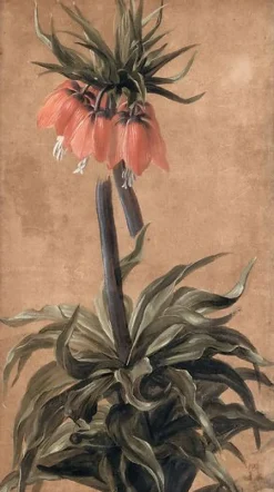 Boutiques de musées Toiles Sans Cadre|Affiches D'Art Encadrées-Fritillaire (toiles sans cadre)