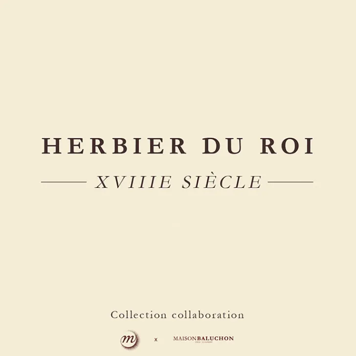 Boutiques de musées Housse de coussin verte Herbier du roi - Maison Baluchon