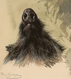 Boutiques de musées Panneaux Aluminium|Panneaux Acryliques-Hure de sanglier (panneaux aluminium)