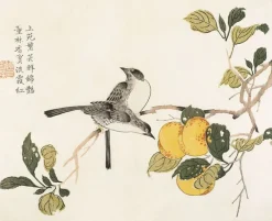 Boutiques de musées Panneaux Aluminium|Panneaux Acryliques-Jardin du grain de moutarde (panneaux aluminium)