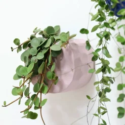 Sale Boutiques de musées Jardinière en porcelaine Lilas