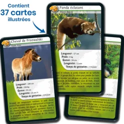 Boutiques de musées Jeux-Jeu de cartes Défis nature - Asie - Bioviva