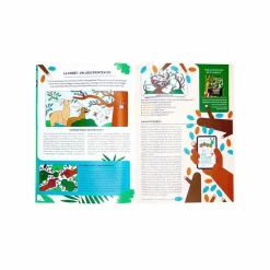 Boutiques de musées Loisirs Créatifs|Jeux-Kit collector 8-12 ans La forêt - Pandacraft