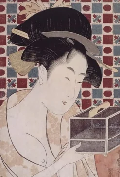 Boutiques de musées Affiches D'Art Encadrées|Panneaux Acryliques-La cage à insectes (affiches d'art encadrées)