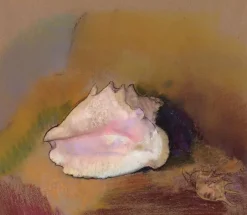 Boutiques de musées Toiles Encadrées|Toiles Sur Châssis-La Coquille (détail) (toiles encadrées)