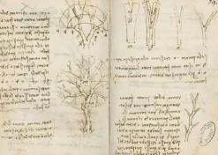 Boutiques de musées La croissance des arbres (panneaux aluminium)