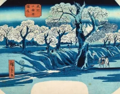 Boutiques de musées Affiches D'Art Encadrées-La floraison à Koganei (affiches d'art encadrées)