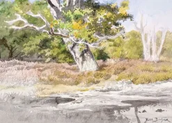 Boutiques de musées Affiches D'Art Encadrées|Affiches D'Art-La Mare aux fées à Fontainebleau (affiches d'art encadrées)