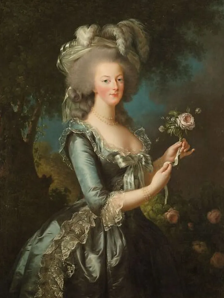 Outlet Boutiques de musées La reine Marie-Antoinette dit "à la Rose" (panneaux aluminium)