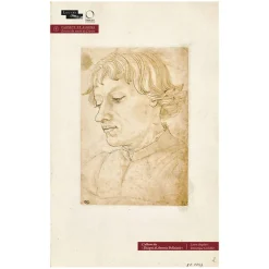 Boutiques de musées Livres D'Art-L'album des "Disegni di Antonio Pallaiuolo(?) 1429-1498"