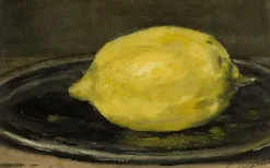 Boutiques de musées Panneaux Acryliques|Toiles Sur Châssis-Le Citron (panneaux acryliques)