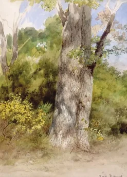 Outlet Boutiques de musées Le Gros Chêne (affiches d'art encadrées)