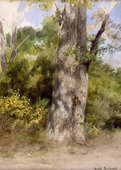 Discount Boutiques de musées Le Gros chêne-recto (panneaux aluminium)