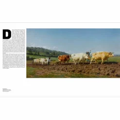 Boutiques de musées Livres D'Art-Le réalisme