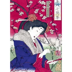 Online Boutiques de musées Les cerisiers en fleur par les grands maîtres de l'estampe japonaise (coffret)