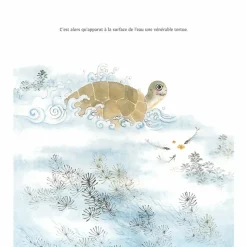 Boutiques de musées Livres Jeunesse-Les lapins et la tortue