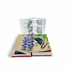 Hot Boutiques de musées Les oiseaux par les grands maîtres de l'estampe japonaise