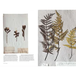 Online Boutiques de musées L'herbier du Museum - L'aventure d'une collection