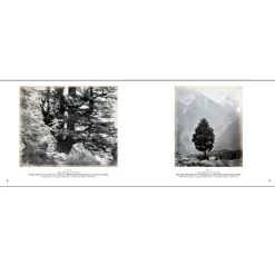 Boutiques de musées Catalogues D'Exposition-L'Inde au miroir des photographes - Catalogue d'exposition