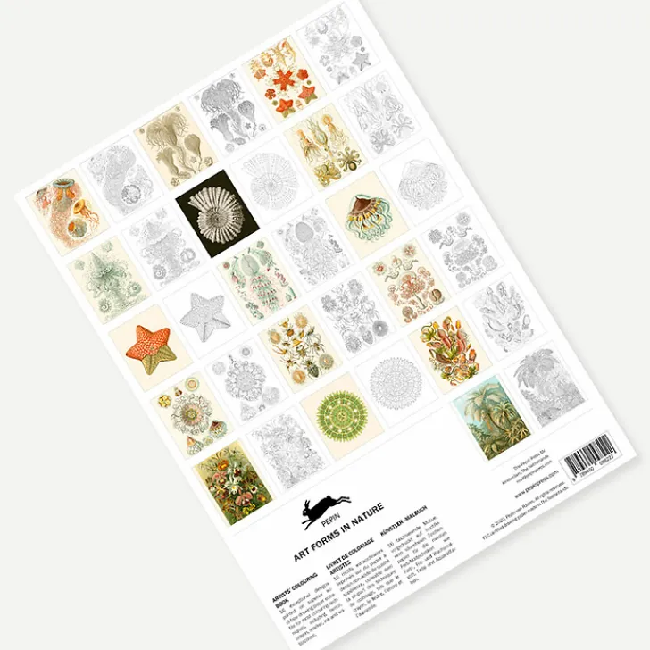 Boutiques de musées Livret de coloriage pour enfants et adultes Art de la nature Haeckel - The Pepin Press
