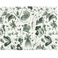 Boutiques de musées Art De La Table-Lot de 2 sets de table L'Herbier du Roi Vert - 38x50 cm
