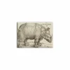 New Boutiques de musées Magnet Albrecht Dürer - Le rhinocèros, 1515