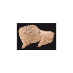 Online Boutiques de musées Magnet Bison se léchant