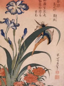 Boutiques de musées Toiles Sur Châssis|Toiles Sans Cadre-Martin-pêcheur, oeillet et iris (toiles sur châssis)