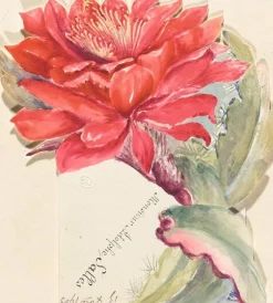 Discount Boutiques de musées Menu d'Adolphe Salles (panneaux aluminium)