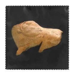 Boutiques de musées Accessoires Lunettes-Microfibre Bison se léchant