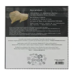 Boutiques de musées Accessoires Lunettes-Microfibre Bison se léchant