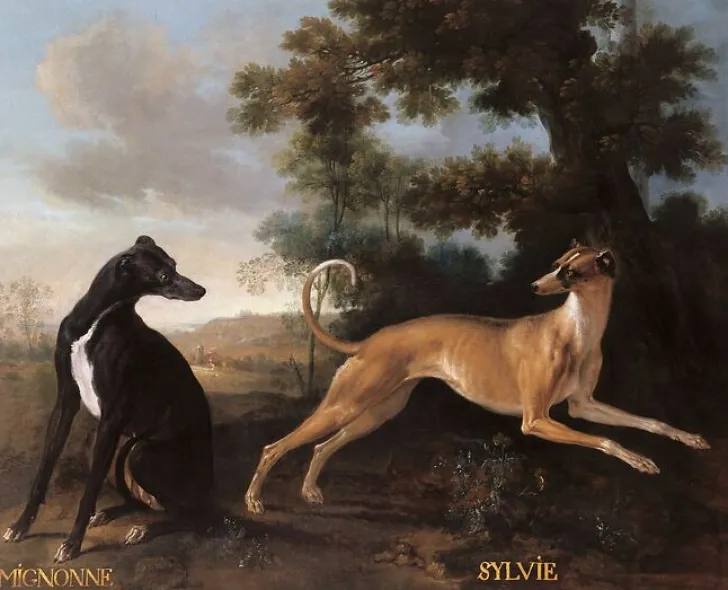 Boutiques de musées Panneaux Aluminium|Toiles Encadrées-Mignonne et Sylvie, chiens de Louis XV (panneaux aluminium)