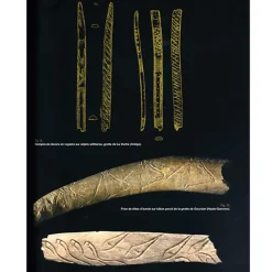 New Boutiques de musées Mille et une femmes de la fin des temps glaciaires