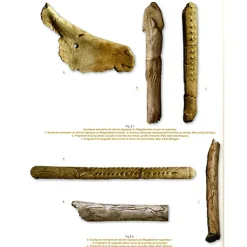 New Boutiques de musées Mille et une femmes de la fin des temps glaciaires