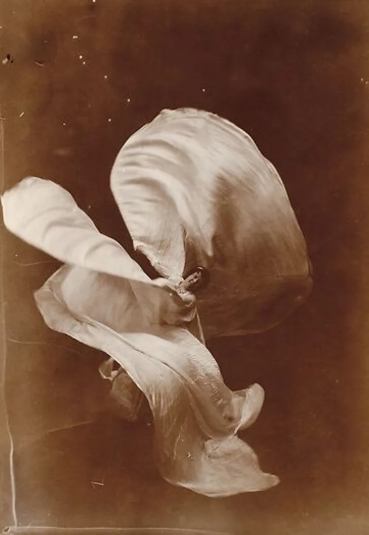 Best Boutiques de musées Mlle Loïe Fuller (panneaux acryliques)