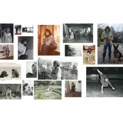 Boutiques de musées Catalogues D'Exposition-Monet Mitchell - Catalogue d'exposition