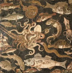 Clearance Boutiques de musées Mosaïque représentant une bataille entre une pieuvre et un homard (détail), IIe siècle avant J.-C. (panneaux acryliques)