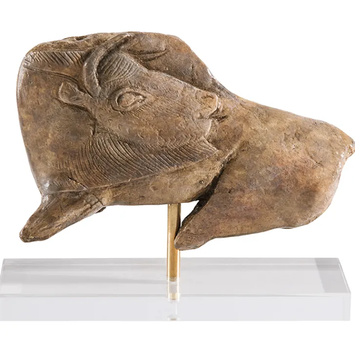 Boutiques de musées Préhistoire-Moulage Bison se léchant