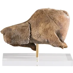 Boutiques de musées Préhistoire-Moulage Bison se léchant