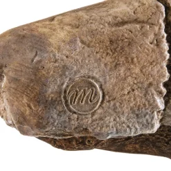 Boutiques de musées Préhistoire-Moulage Bison se léchant